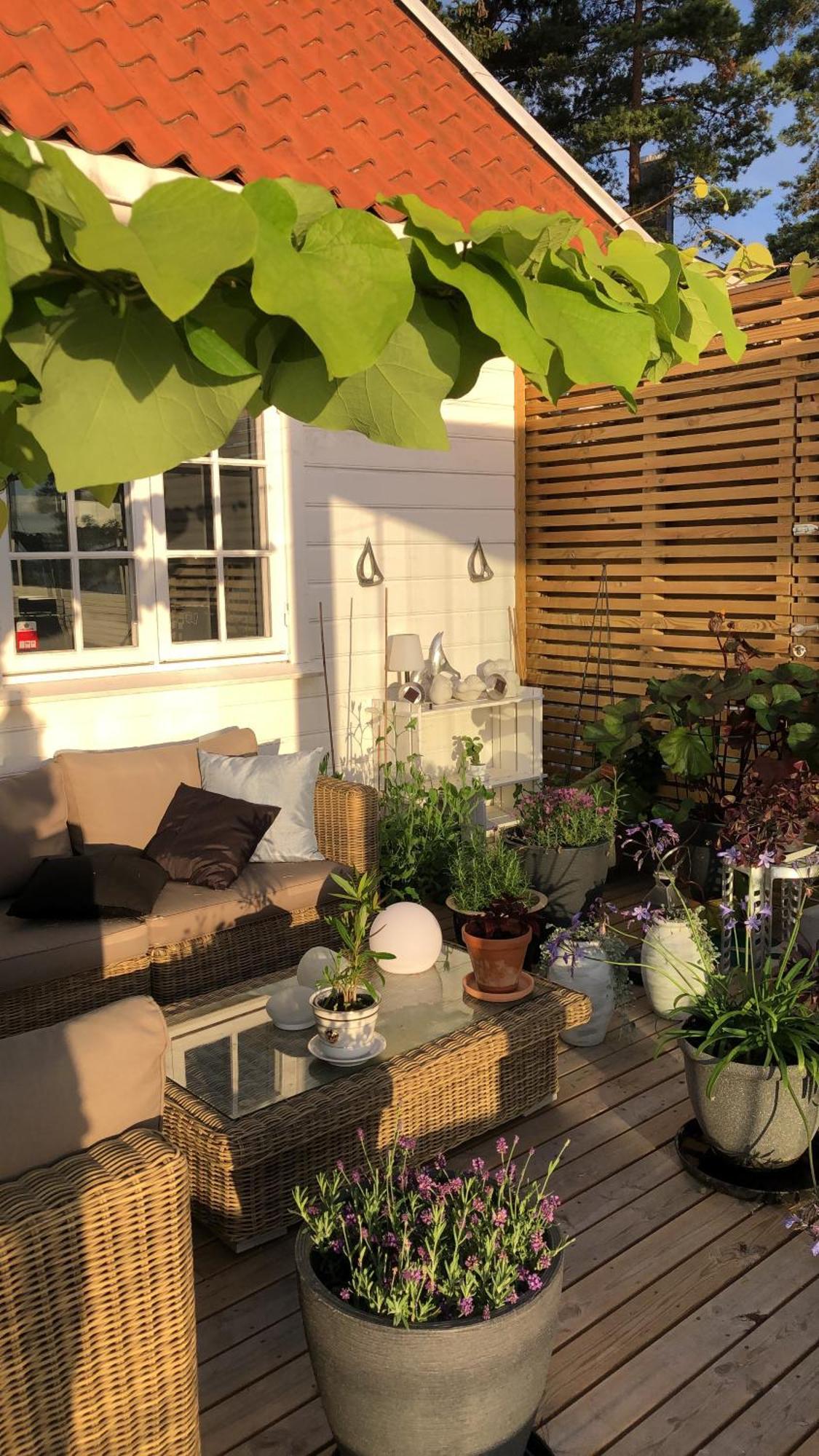 Leilighet I Sorlandshus I Son - Sjoutsikt - Naer Son Spa Exterior foto
